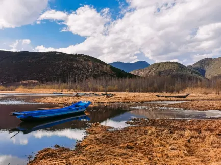 Winning Kazino Mobilioji programa